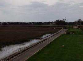 Island Green